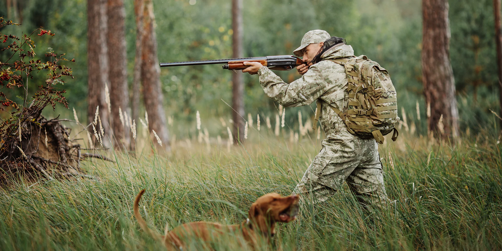 Hunting