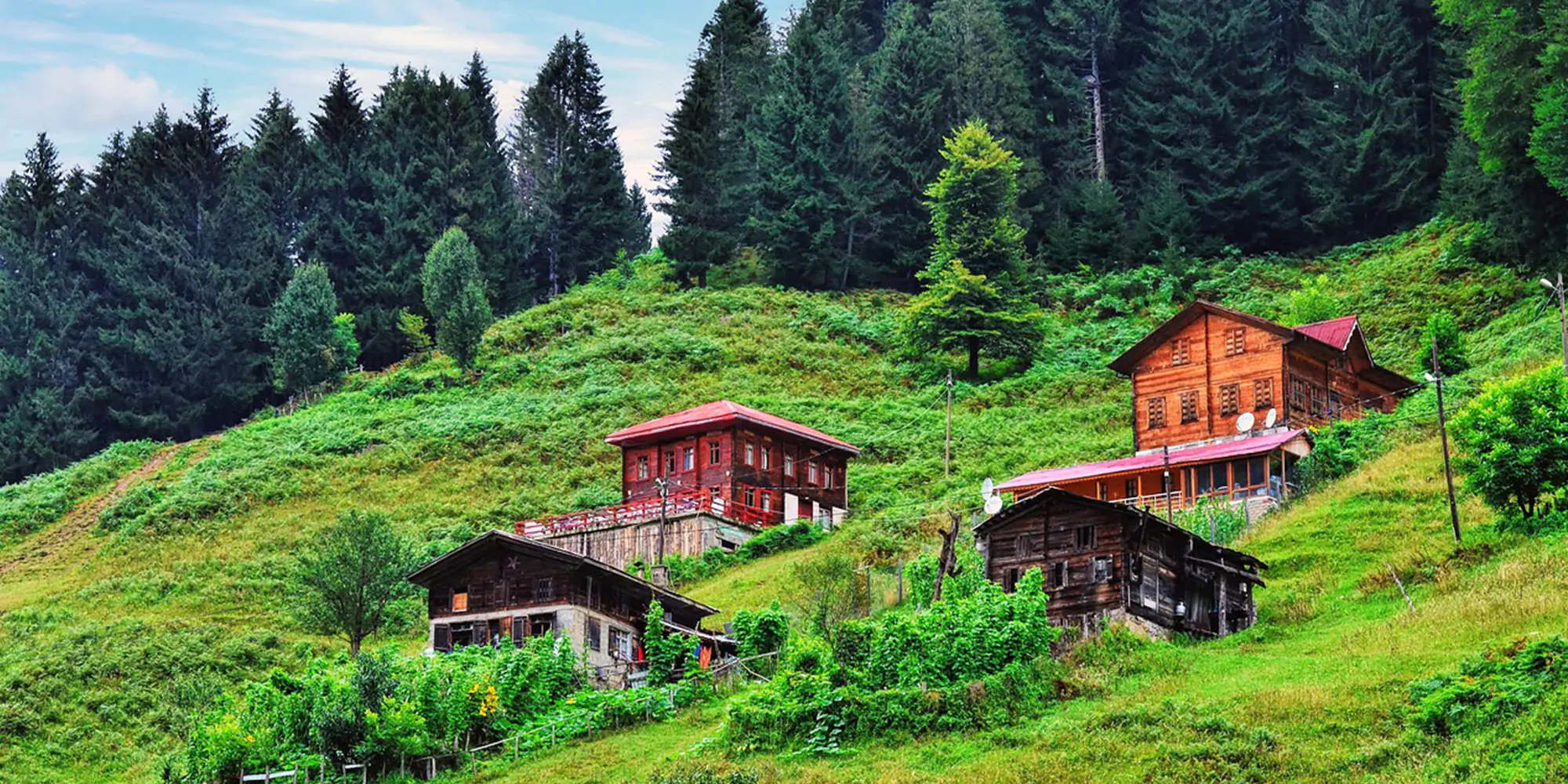 Ayder Plateau Tour