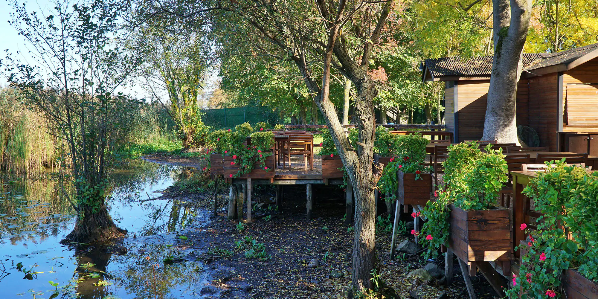 Sapanca Tour