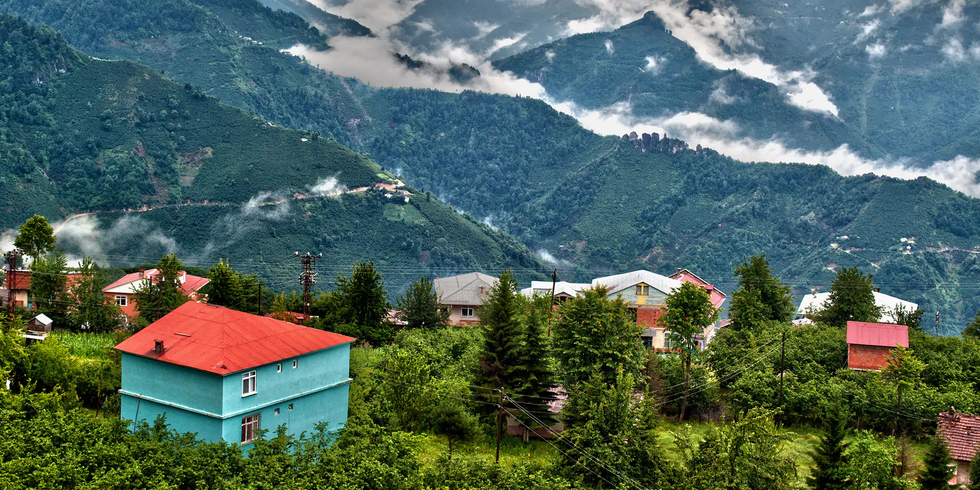Private Ordu Tour