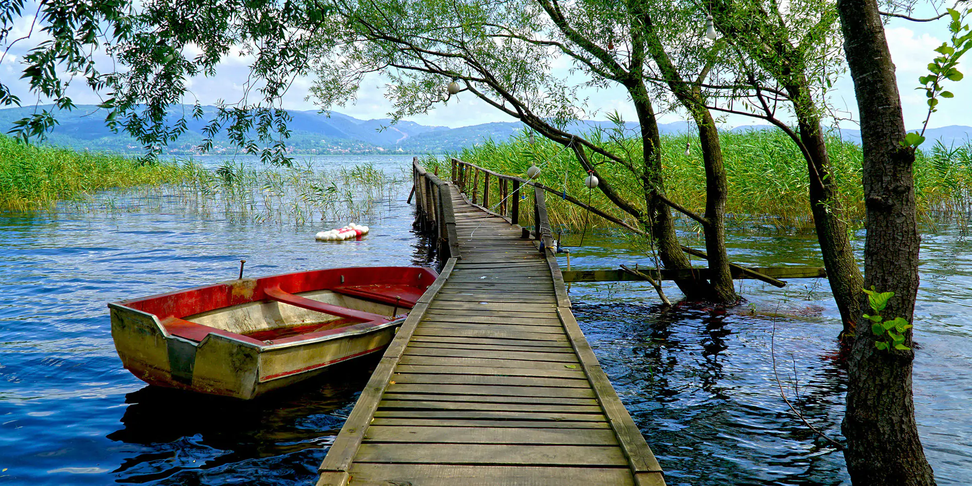 Sapanca Tour