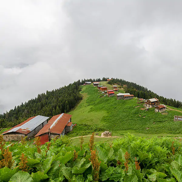  Pokut Plateau Tour