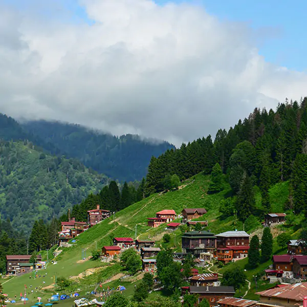 Private Ayder Plateau Tour